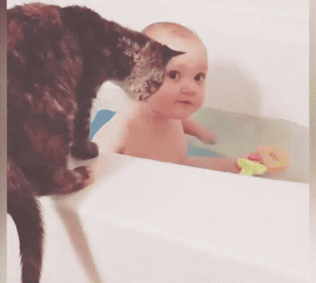 Cat Baby GIF - Cat Baby ComeHere GIFs