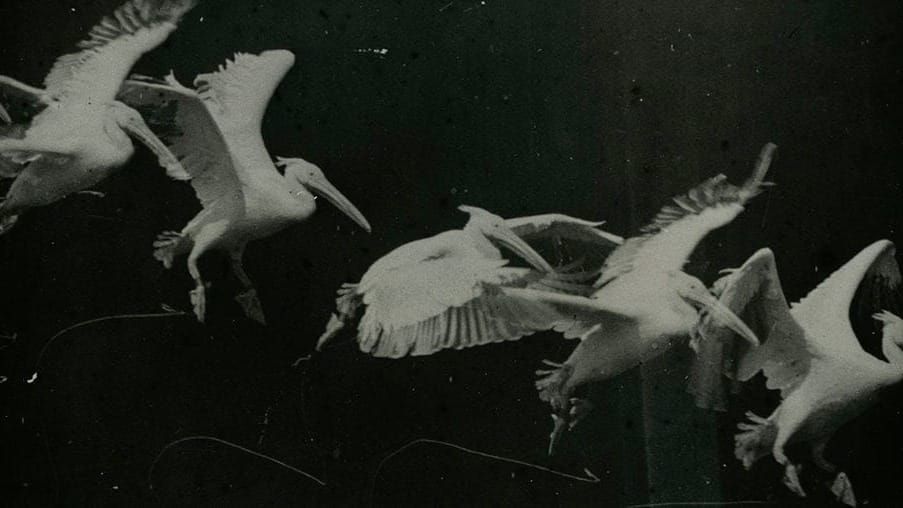 Six Memos for the Future of Photography