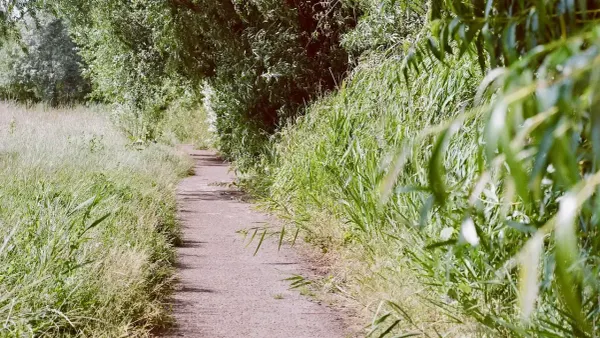 An Attempt at Exhausting a Place in Kidbrooke