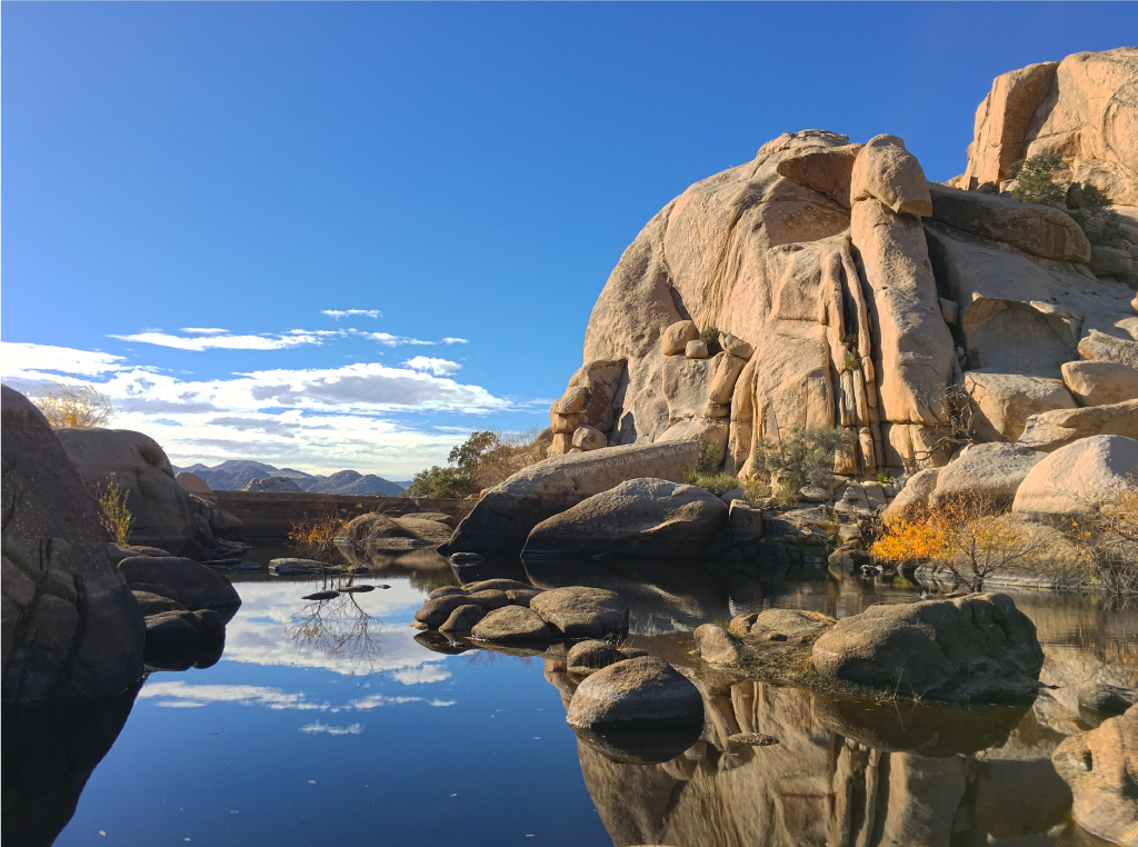 Joshua Tree National Park in One Day