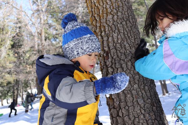 Snowplay in Wrightwood