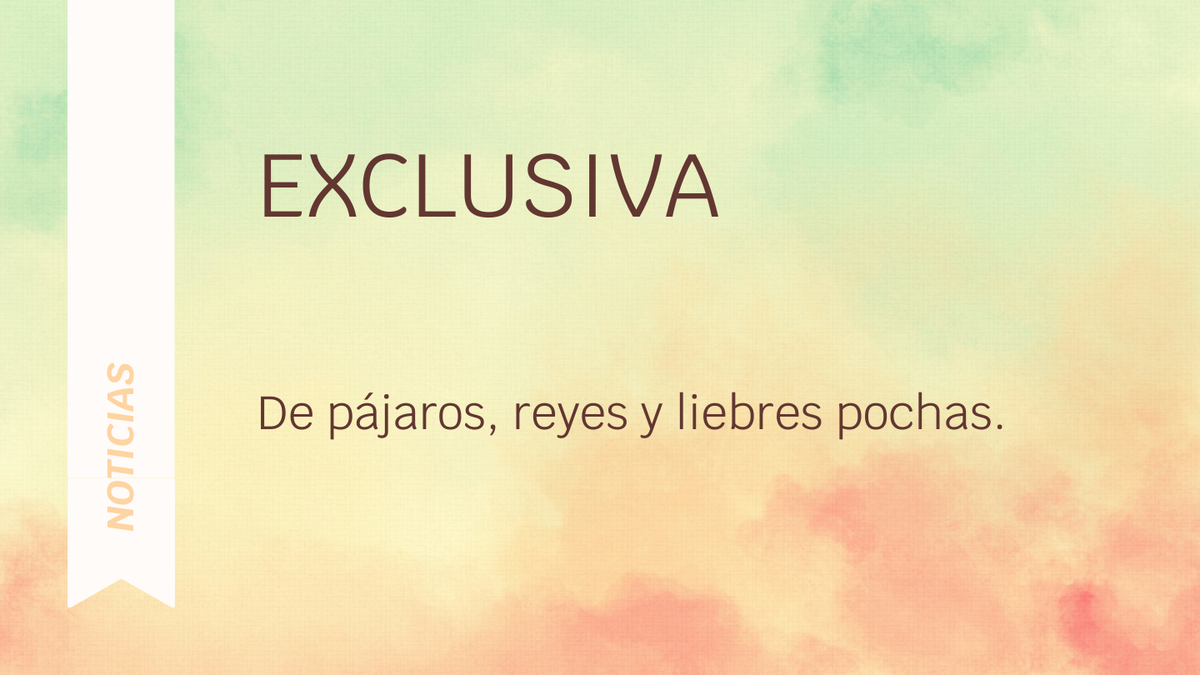 Exclusiva: De pájaros, reyes y liebres pochas.