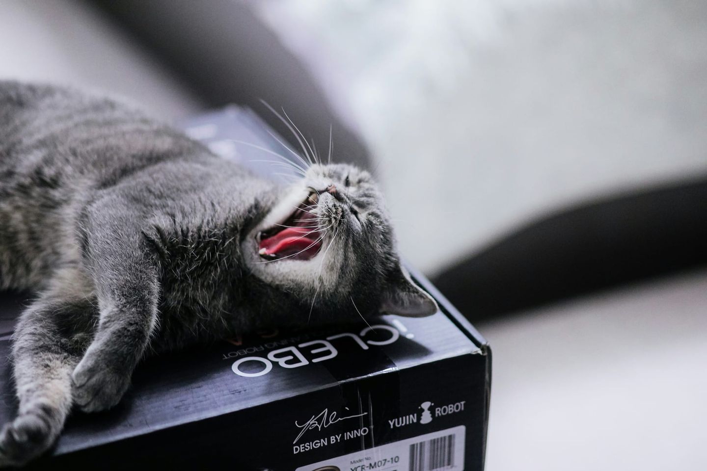 Quand Sony transforme le jeu vidéo en spectacle passif par l'IA