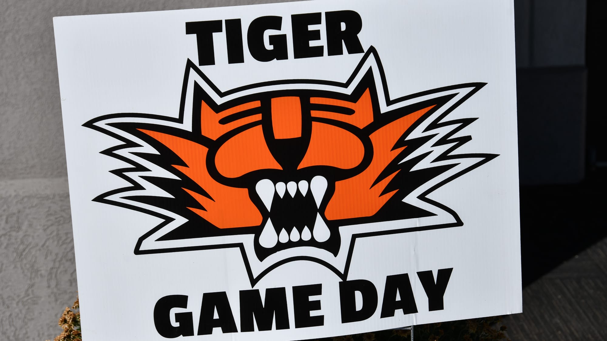 Community invited as Tiger Fever builds for Oct. 17 homecoming rally