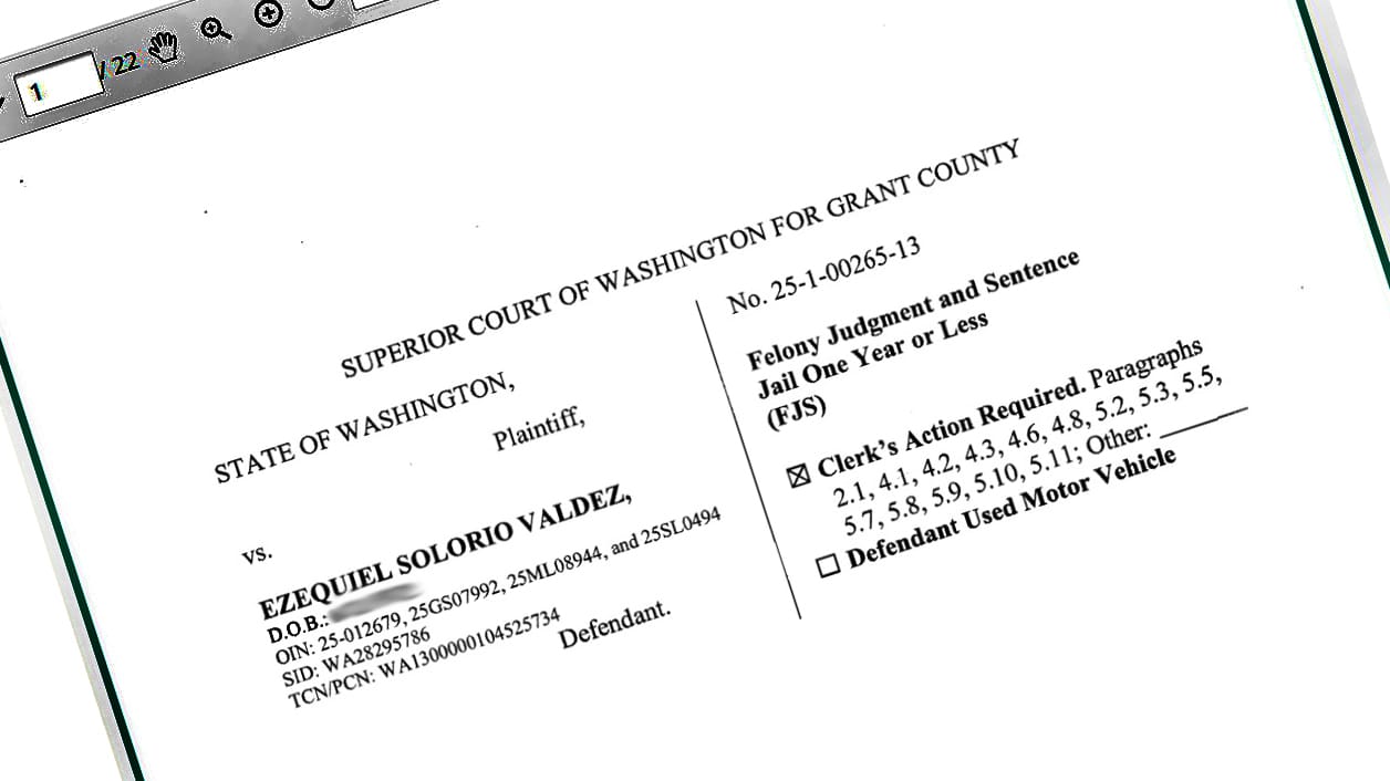 Rock-throwing suspect sentenced for assaults