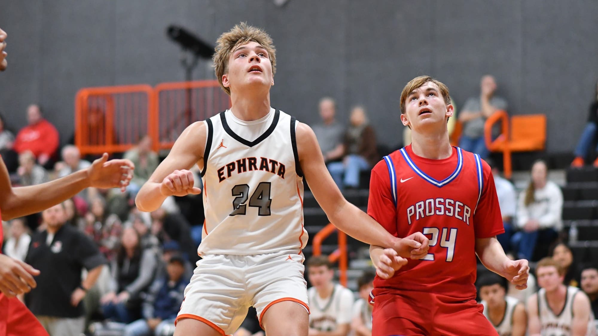 Tigers outrun by Greyhounds; Morford posts double-double