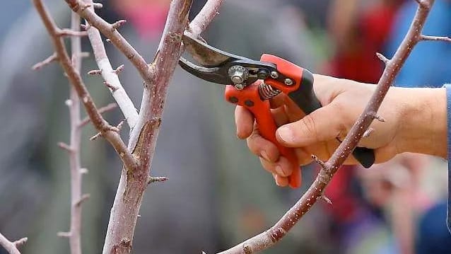 It's winter: prime time to prep for the gardening season