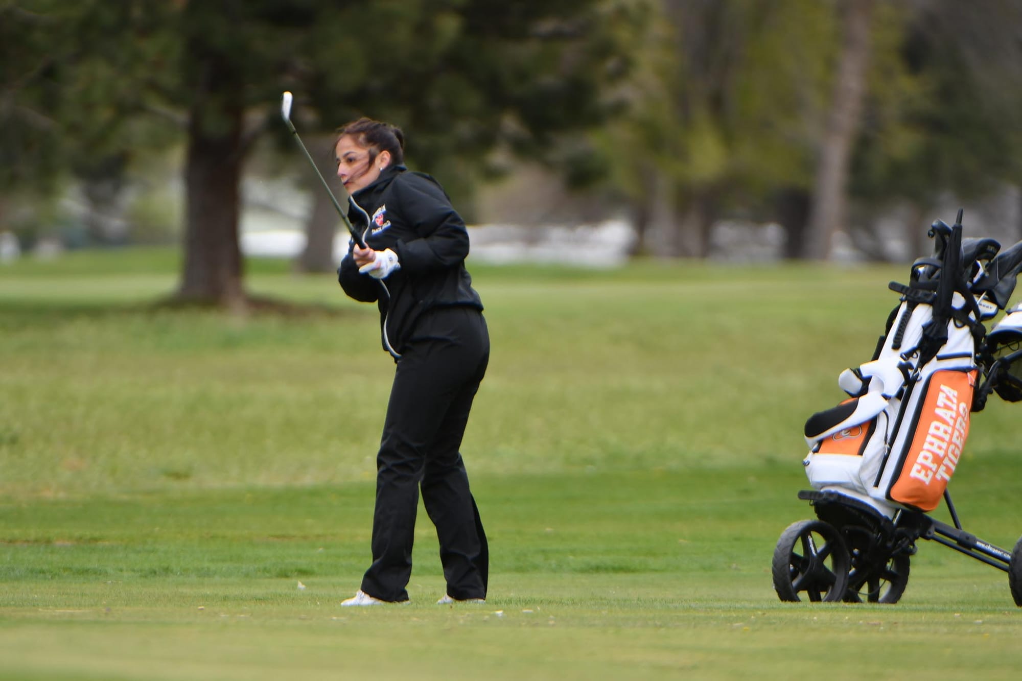 Lady Tiger senior Natalin Abundiz hits toward the green.