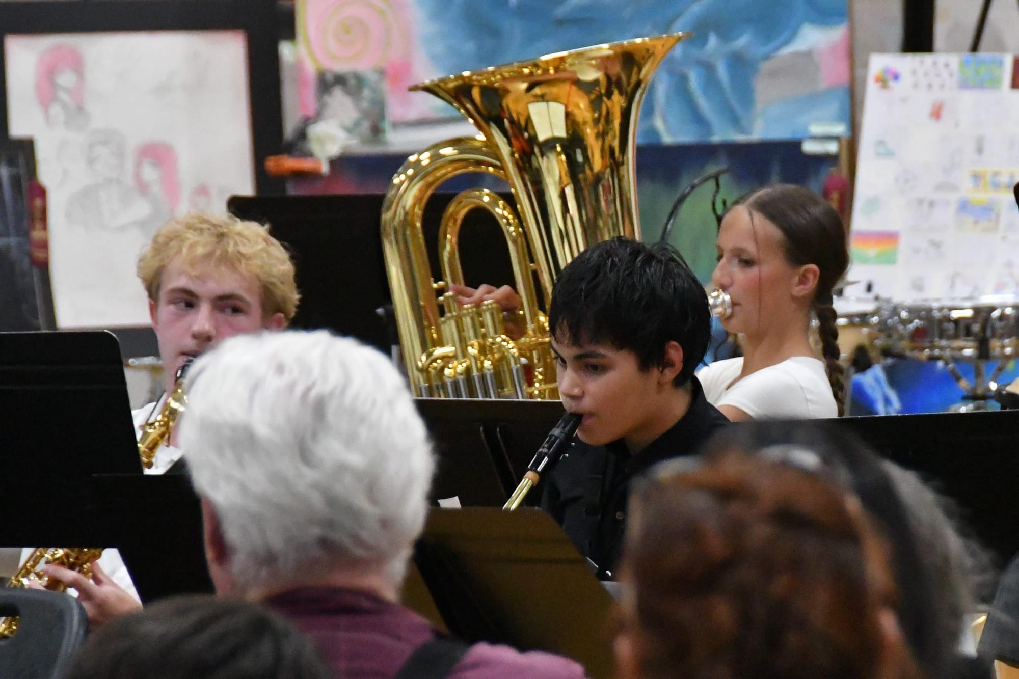 Woodwind and brass players perform during Tuesday's band concert.