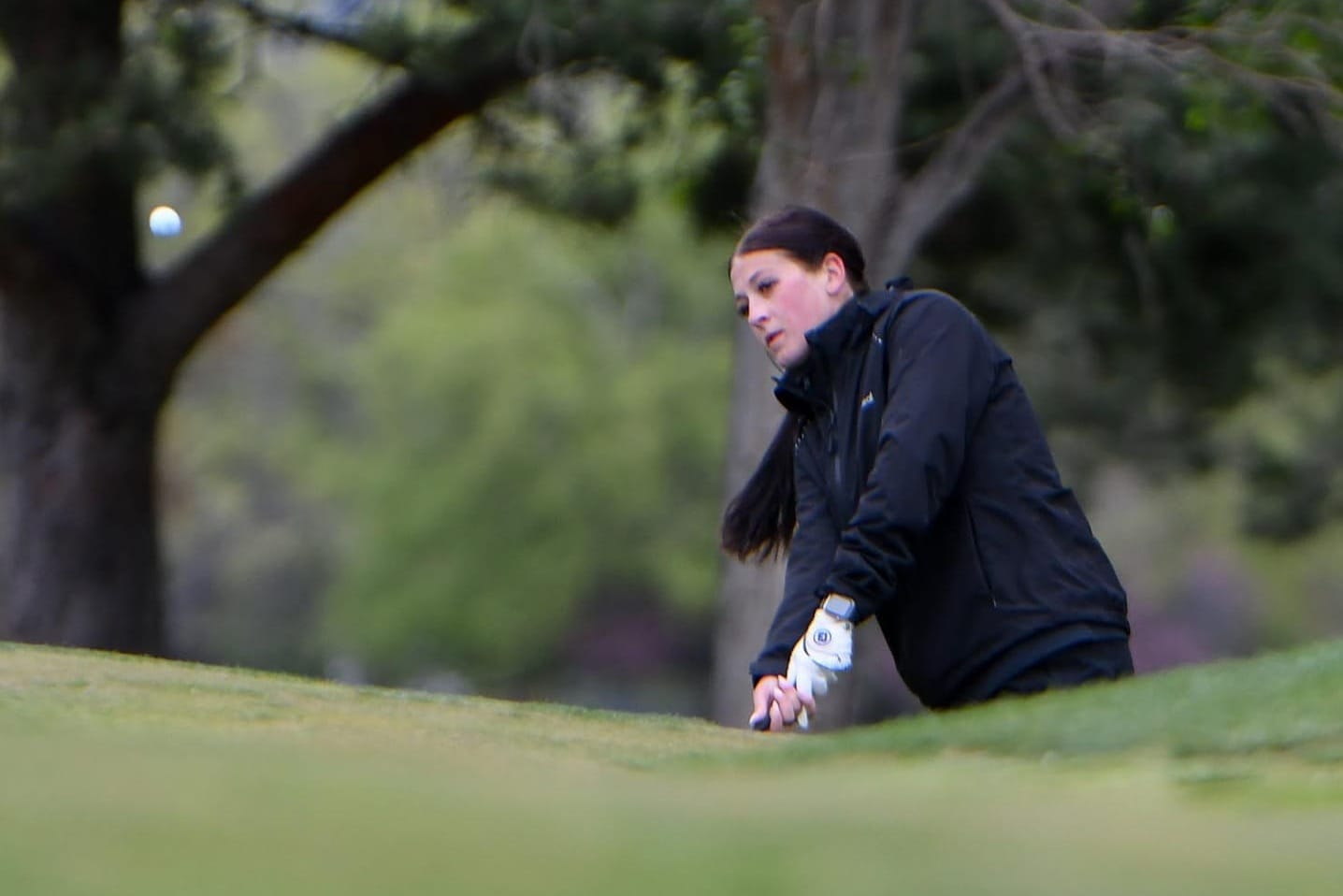 Alyee Roberts chips onto the 11th green at Lakeview Golf & Country Club during the Tigers' senior night match against Chelan on Tuesday, April 14. Roberts earned honorable-mention all-conference honors and qualified for the 2A state tournament.