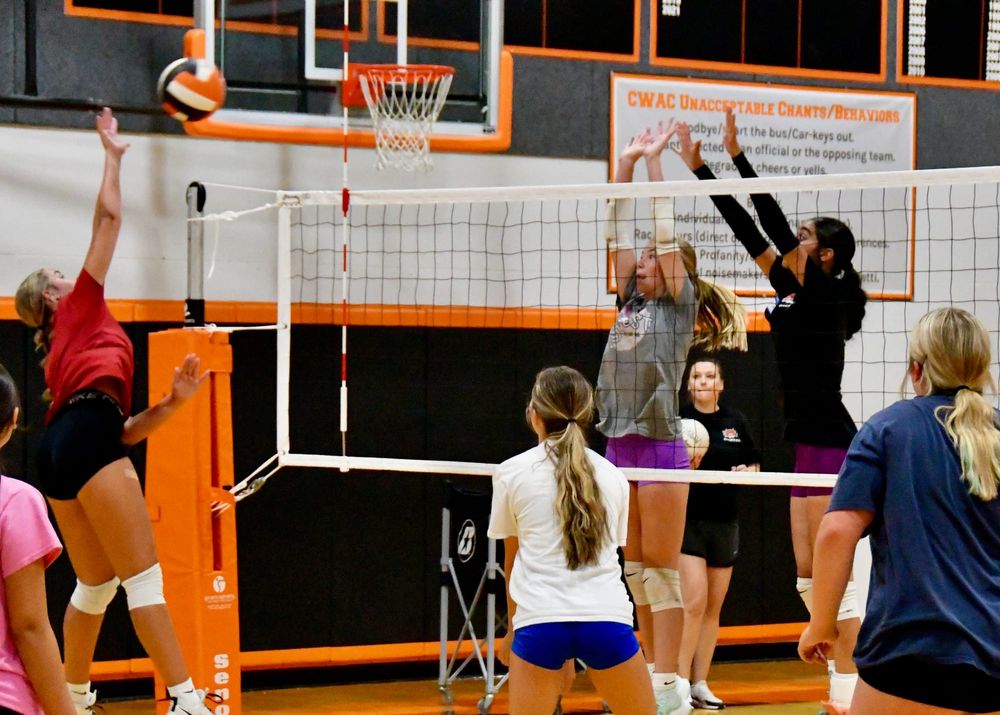 EHS Lady Tigers volleyball preview: smart play over power post image