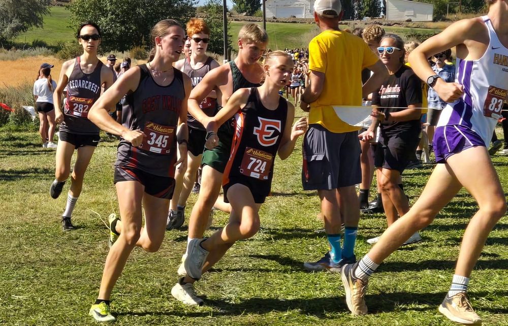 Tigers shine on rugged Apple Ridge course post image