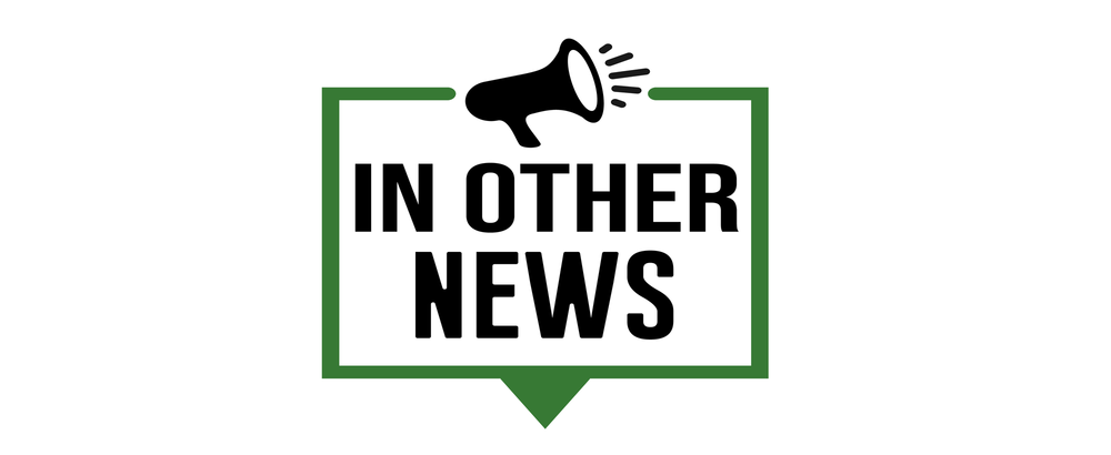 In Other News post image