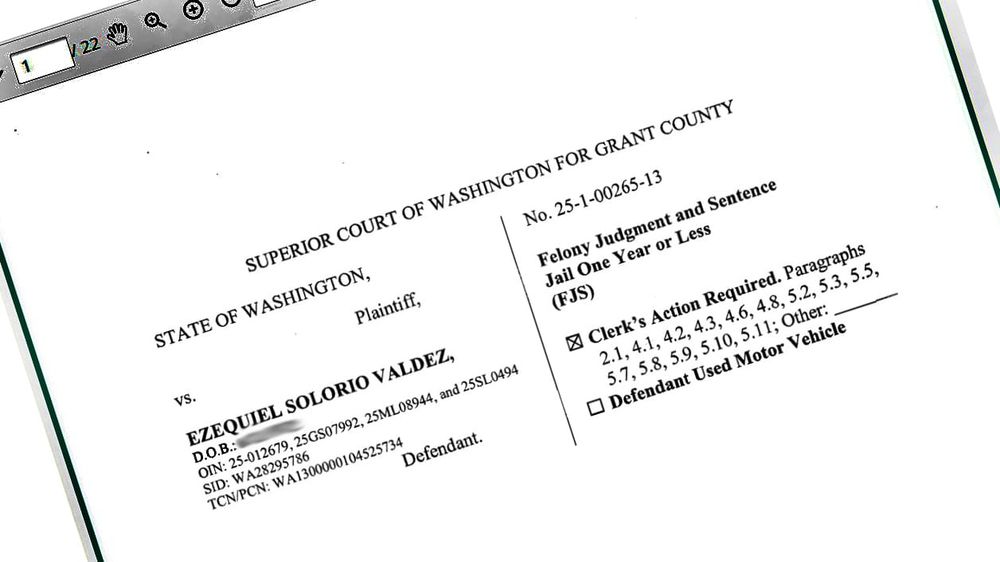 Rock-throwing suspect sentenced for assaults post image