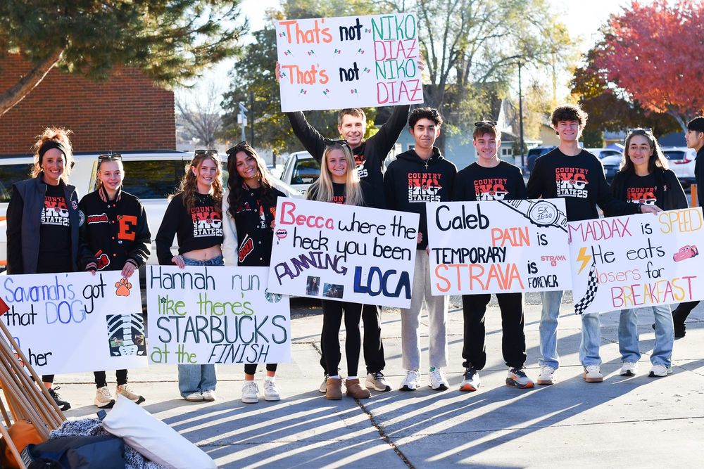 Tigers end season with strong efforts at state XC championships post image