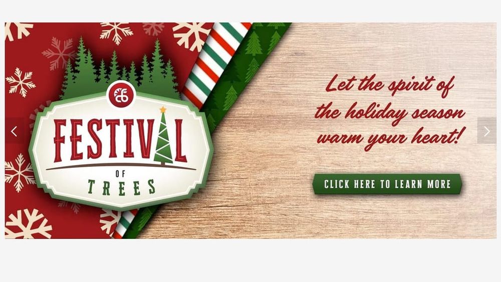 Festive trees add sparkle to CBF fundraiser to aid cancer families post image