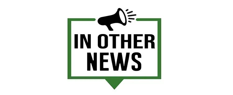 In Other News post image