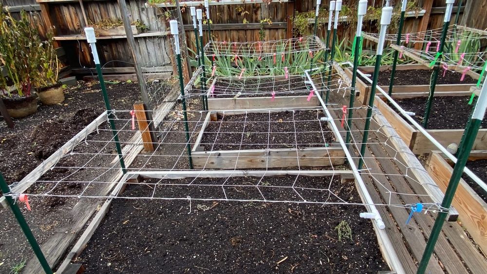 Like friends, sometimes our gardens need a little support post image