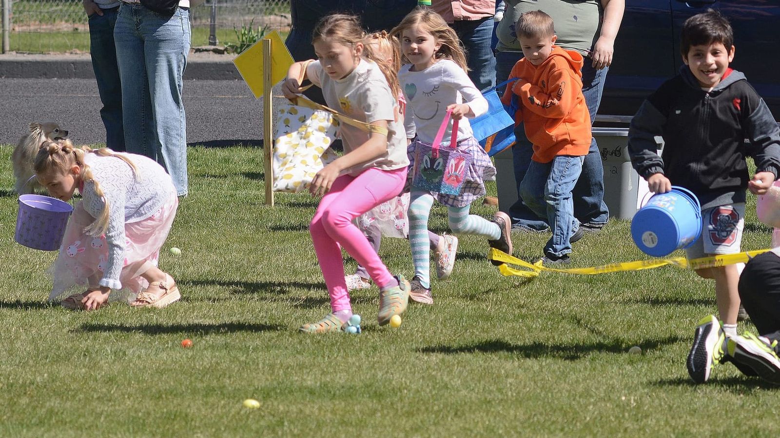 Community hunts offer 'eggs-citing' outings for kids post image