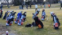 EHS golf teams place top 10 at state post image