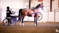 GC Equestrians close regular season; five qualify for state post image