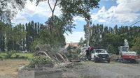 County declares thunderstorm emergency; tangible effect unclear post image