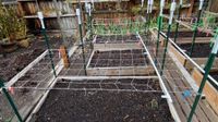 Like friends, sometimes our gardens need a little support post image