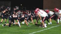 Tigers' defensive stand not enough in 14-13 loss post image