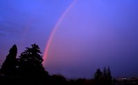 Rainbow in the mist post image