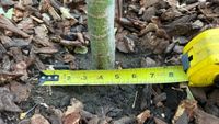 Before winter arrives, take time to 'tuck in' that garden post image