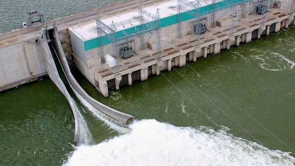 Salmon smolts go 'high tech' in Grant PUD fish-survival study post image