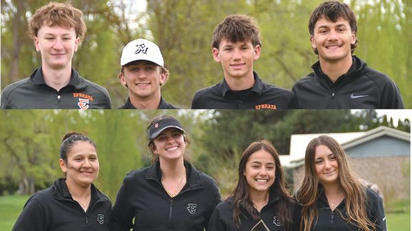 EHS golf honors Tiger seniors in chilly hybrid match at Lakeview post image