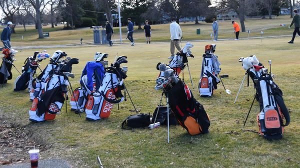 EHS golf teams place top 10 at state post image