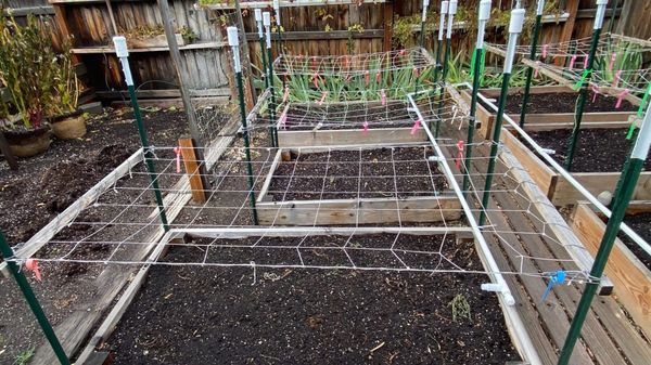 Like friends, sometimes our gardens need a little support post image