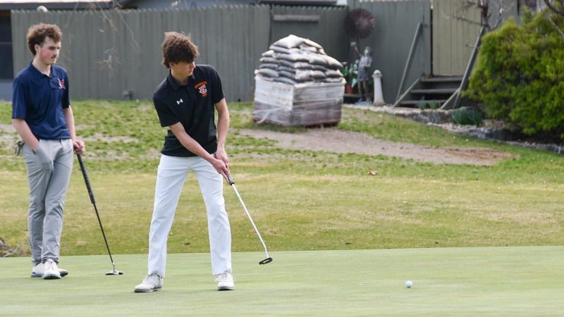 EHS girls place fourth, boys fifth in CWAC golf matches post image
