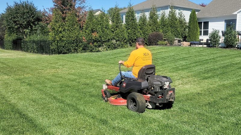 Before those May flowers, let's talk about that April lawn care post image