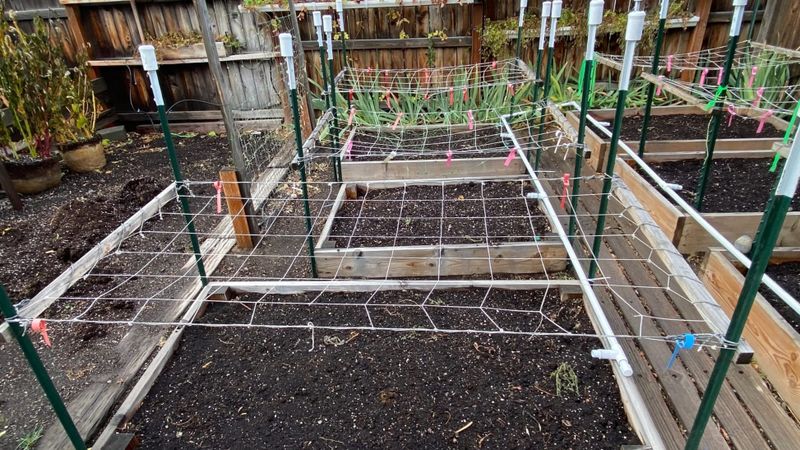 Like friends, sometimes our gardens need a little support post image