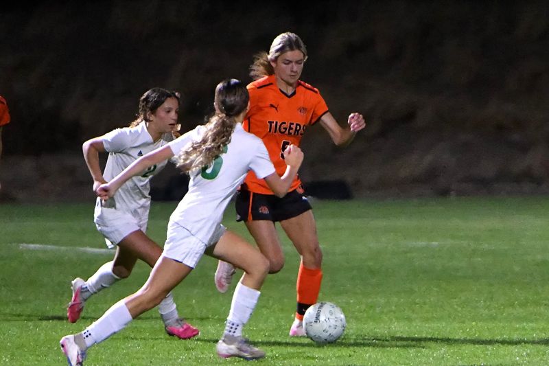 Homecoming week sweep: Tiger soccer locks up No. 3 seed, volleyball gets CWAC win post image
