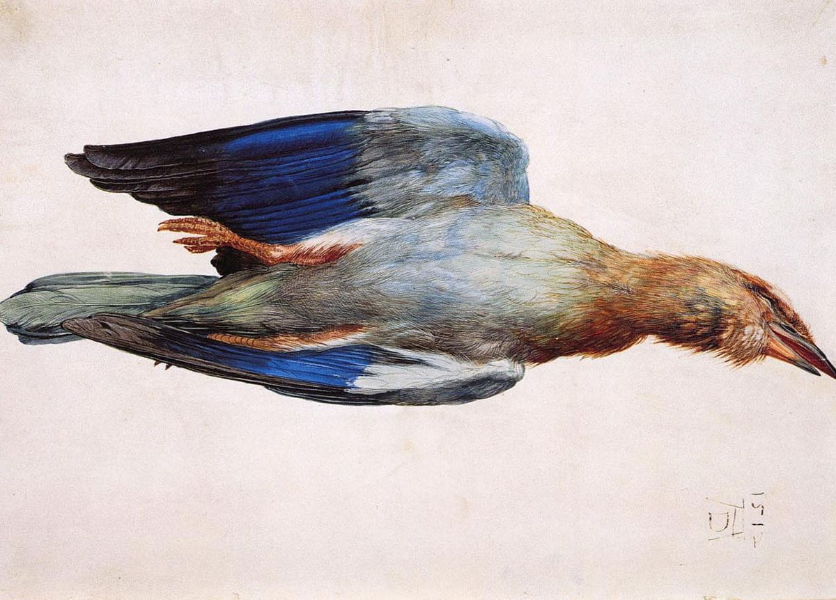 A bird out of hand: My reminiscences on the rise and fall of Twitter.