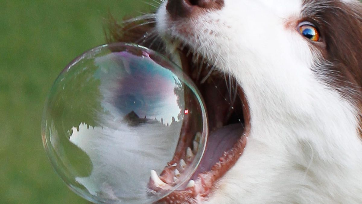 I think the AI bubble is about to burst, and here’s why.