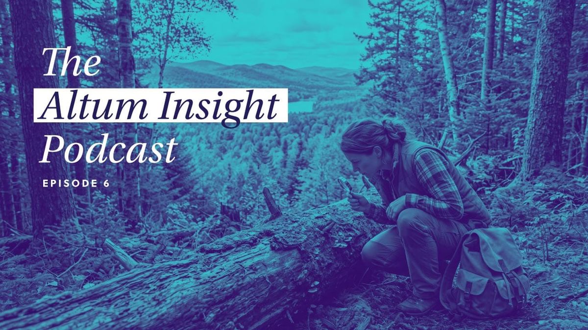 Missing the forest for the Maine tree: why the Democratic narrative is failing voters