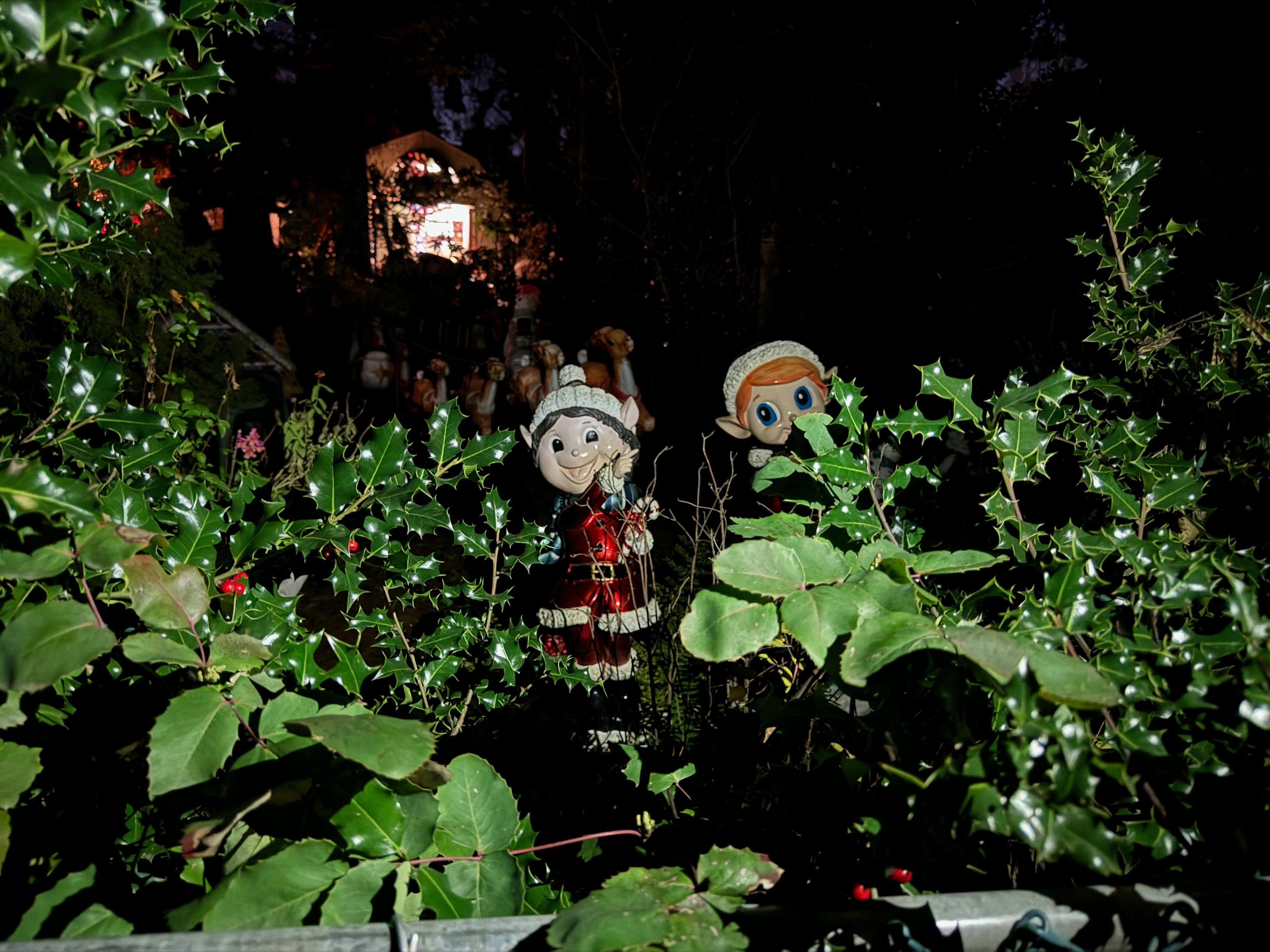 An elven nightmare. A row of garden gnome sized christmas elfs on a front yard, lit with a flash.