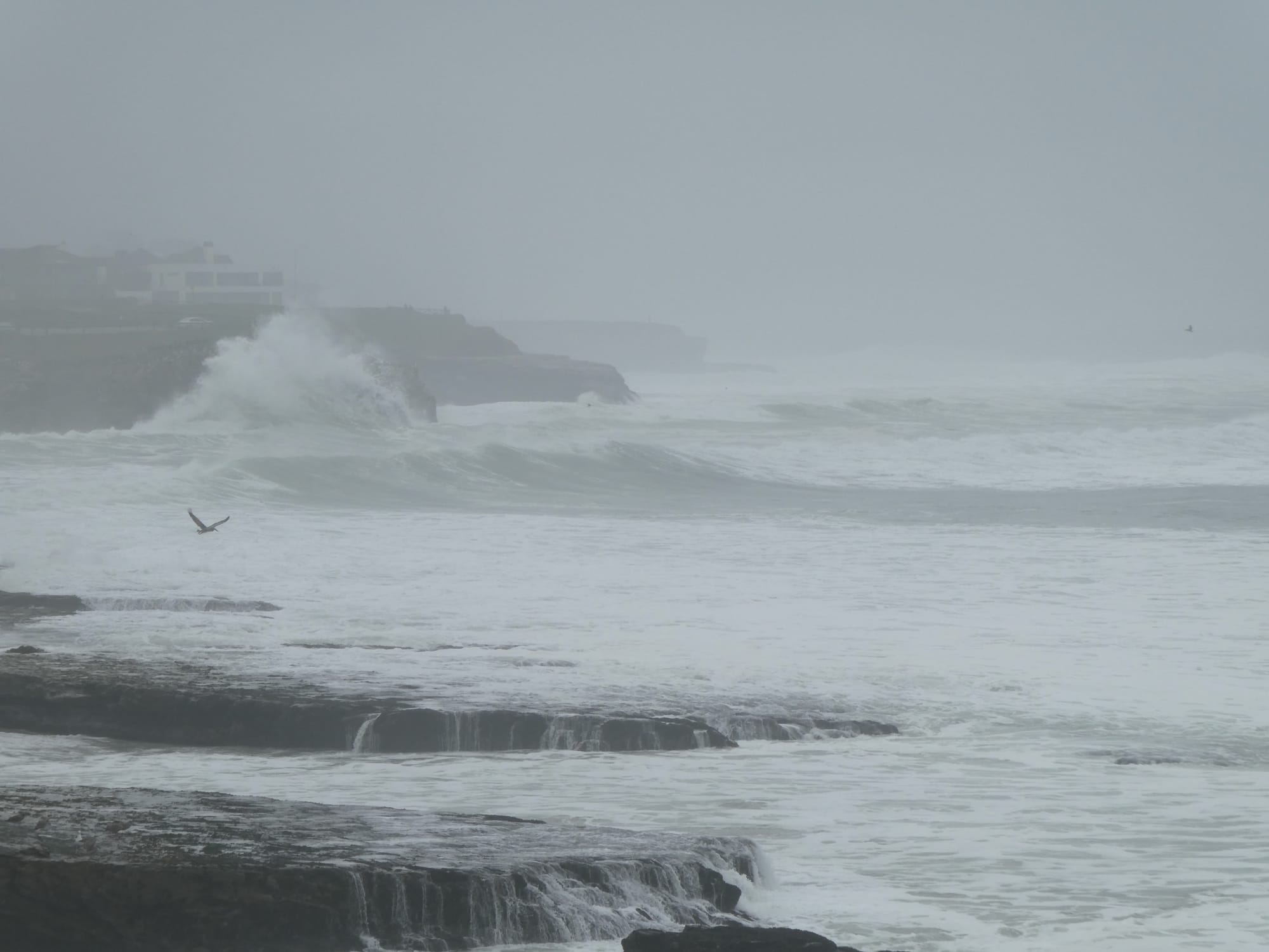 Some sort of pelican flying over a stormy ocean, waves crashing against the rocks and tide pools.