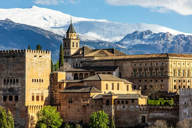 A History of Medieval Arabs