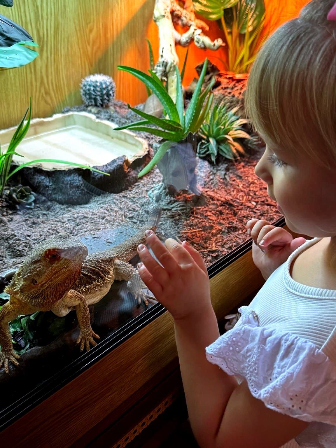 Raising Dragons