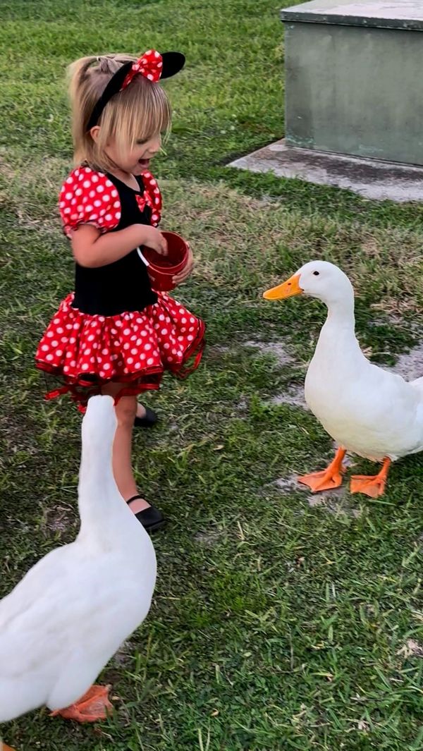 Minnie Mouse, Ducks, Podcasts, and a Whole Lot of Restraint