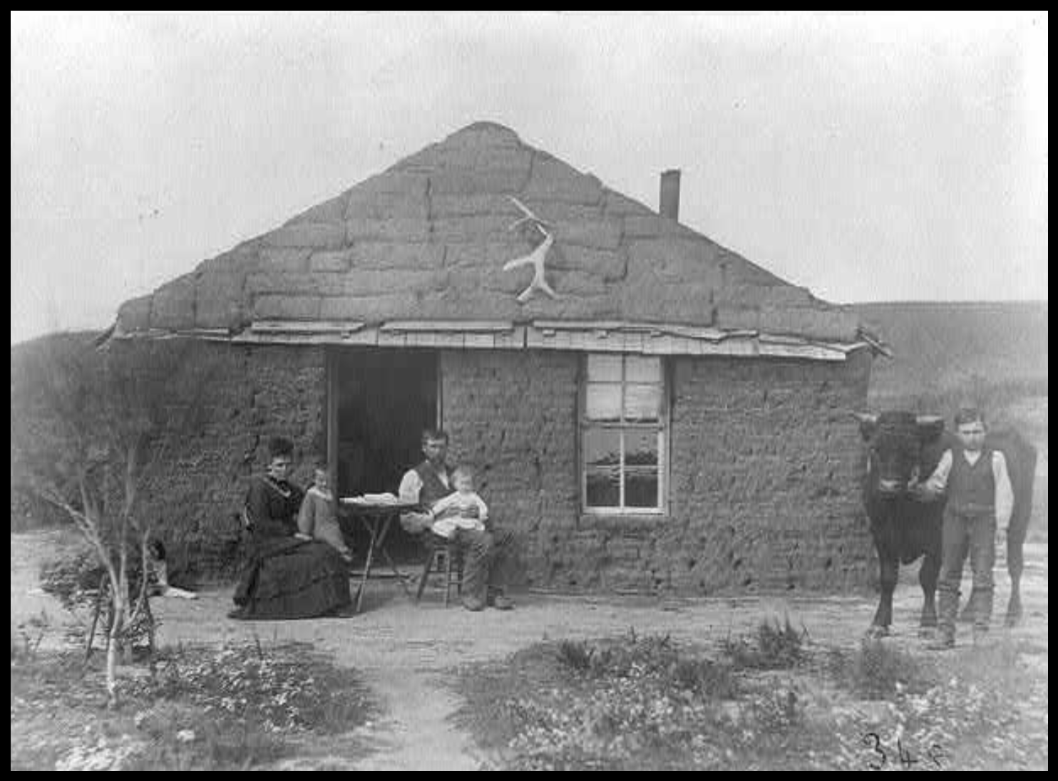 Family of five white settlers outside their sod house, with boy holding an ox.