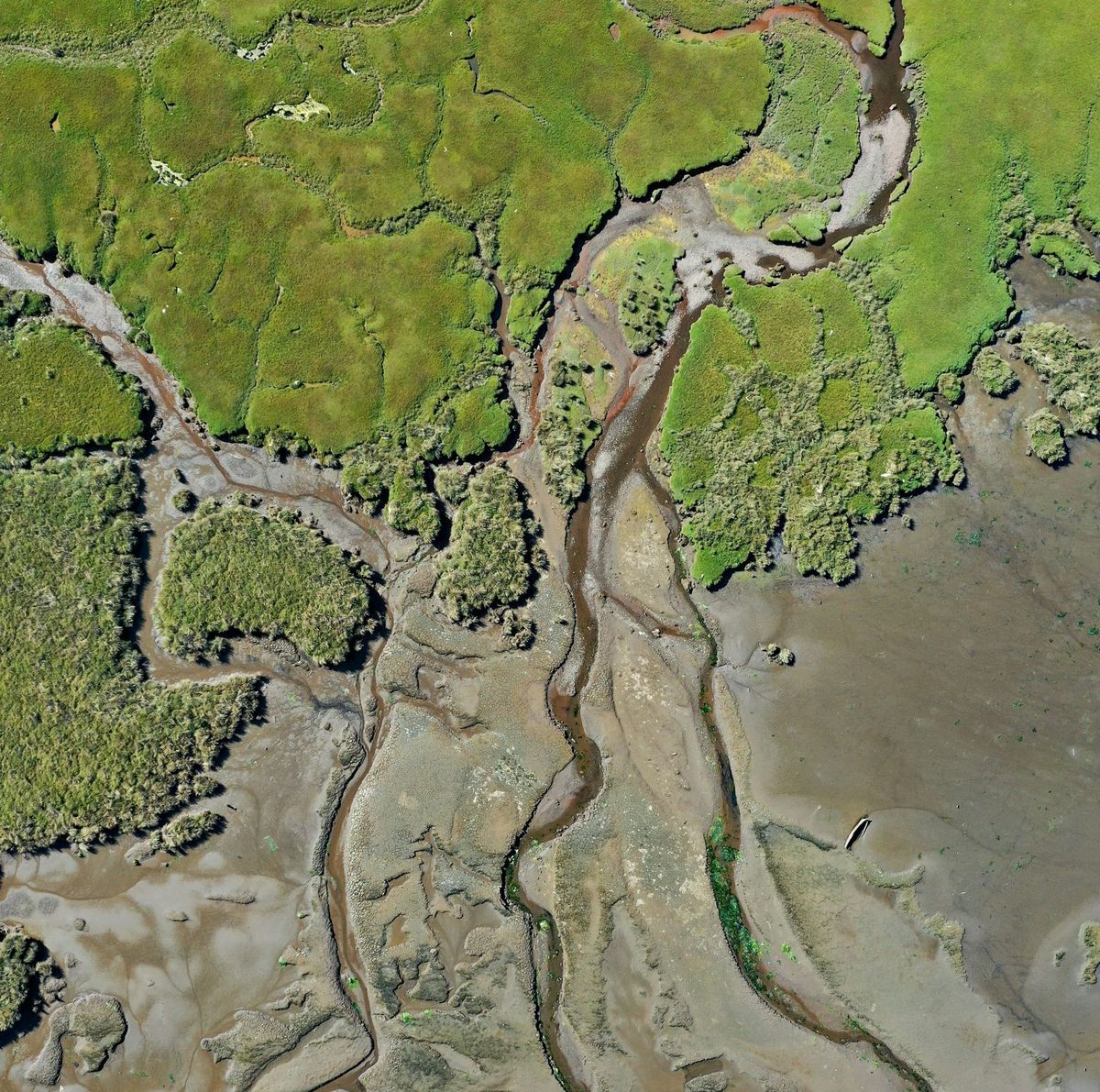 Rivers and tributaries emerge into a delta