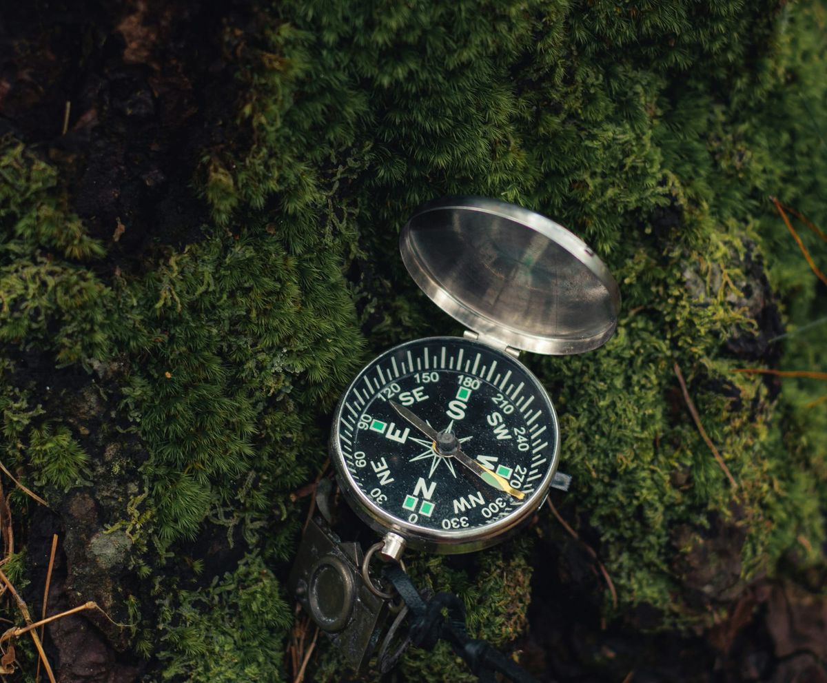 A compass lies on a bed of moss.