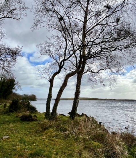 Standing Together Against Adversity